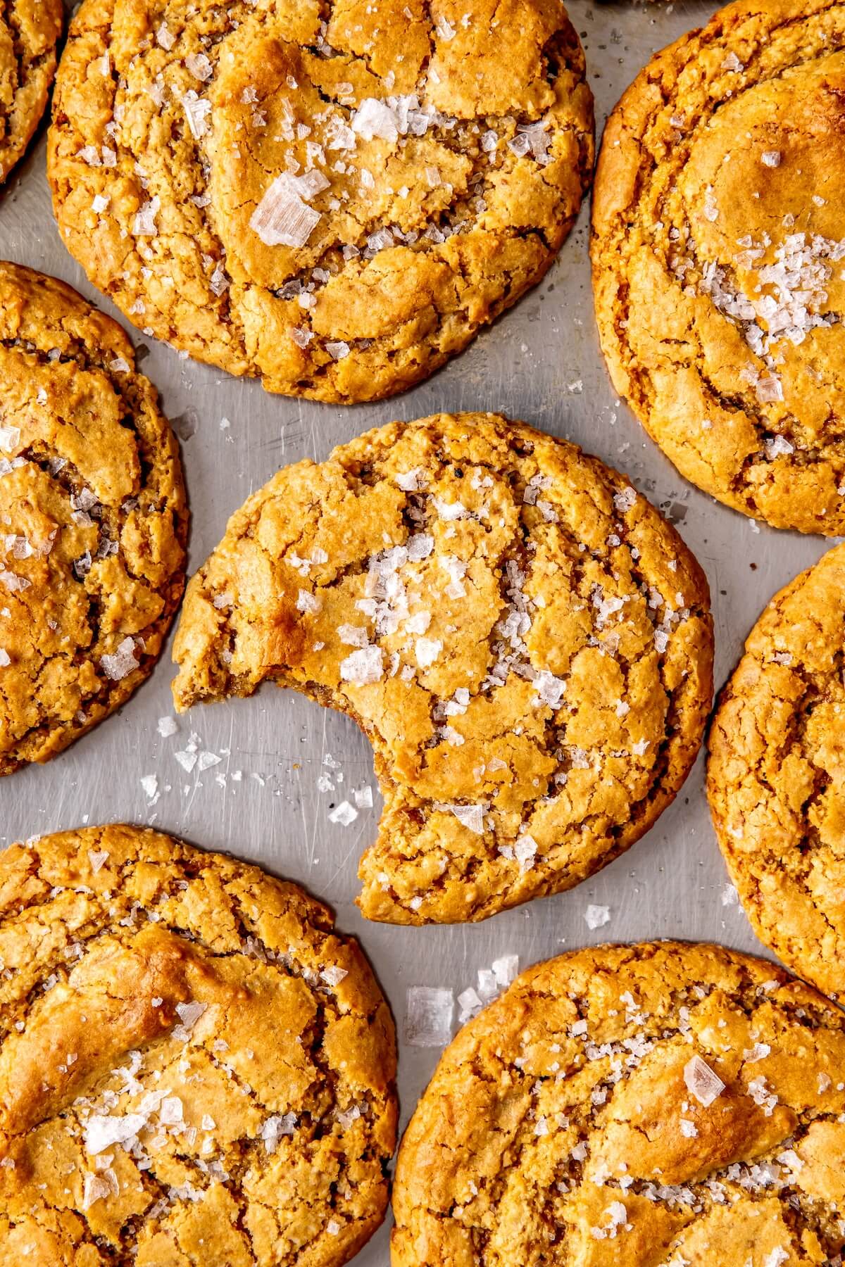Salted Vanilla Cashew Butter Cookies - Olivia Adriance