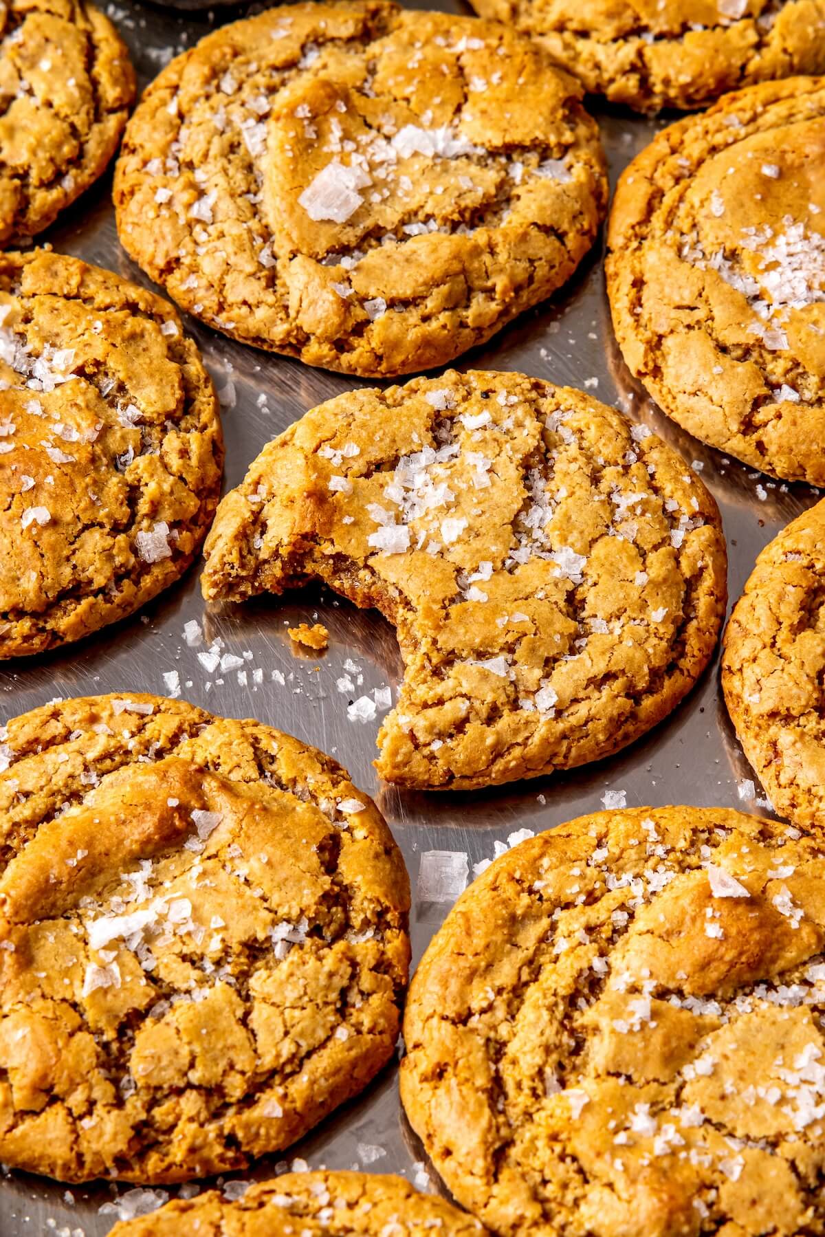 Salted Vanilla Cashew Butter Cookies - Olivia Adriance