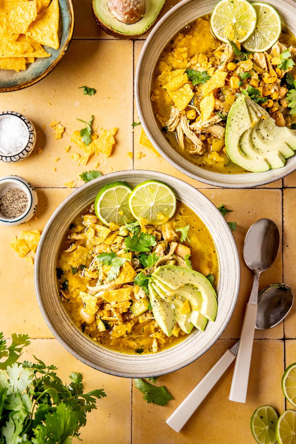 Loaded Veggie Salsa Verde Chicken Chili - Olivia Adriance