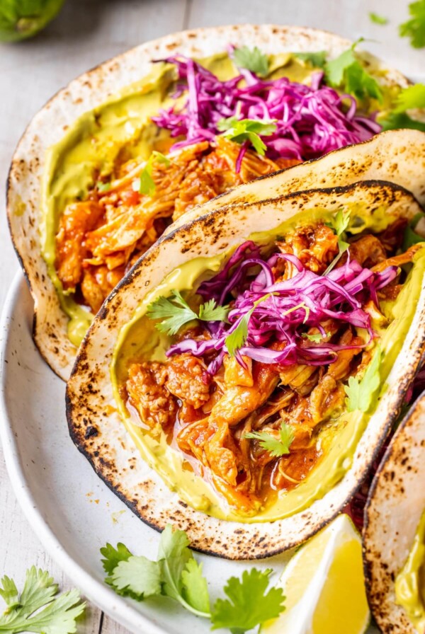 Up close of saucy braised chicken tacos