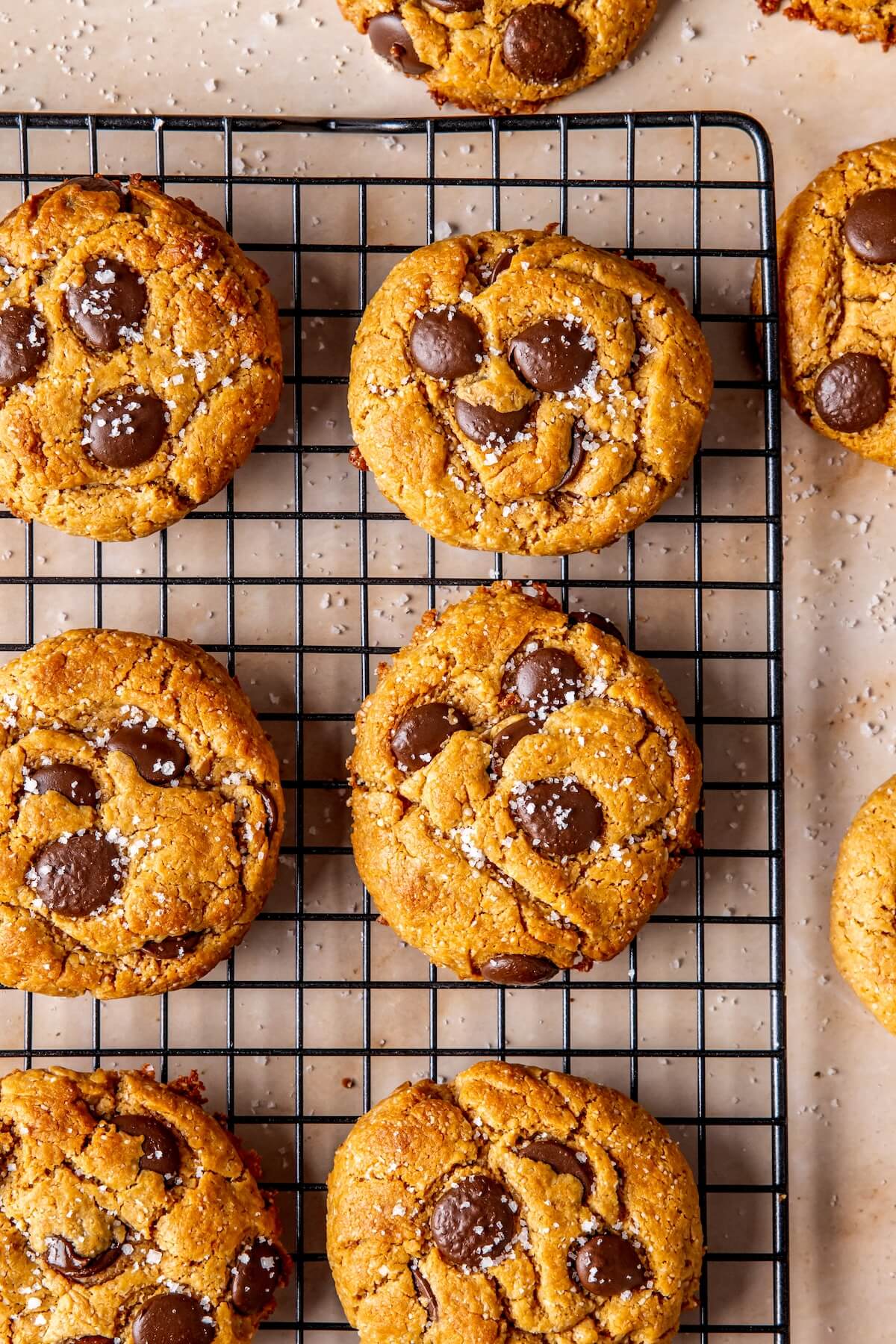 Egg-Free Chocolate Chip Cookies - Olivia Adriance