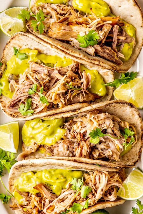 Dutch Oven Carnitas Tacos - Olivia Adriance