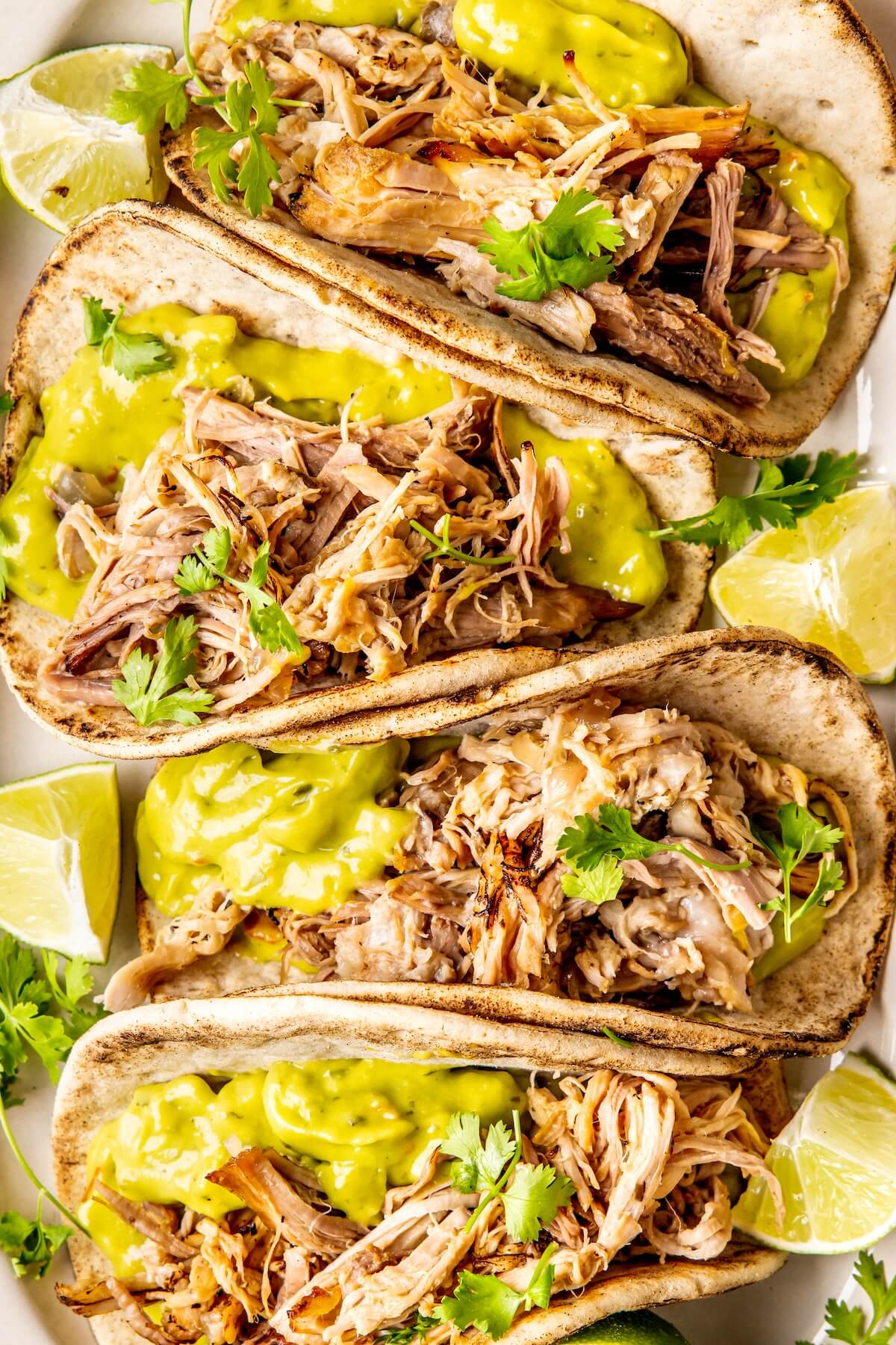 Dutch Oven Carnitas Tacos - Olivia Adriance