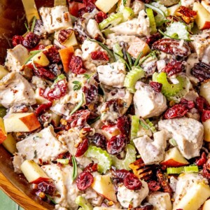 Fall Cranberry Pecan Chicken Salad - Olivia Adriance