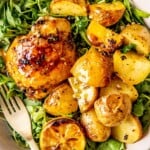 One Dish Roasted Lemon Chicken and Potatoes - Olivia Adriance