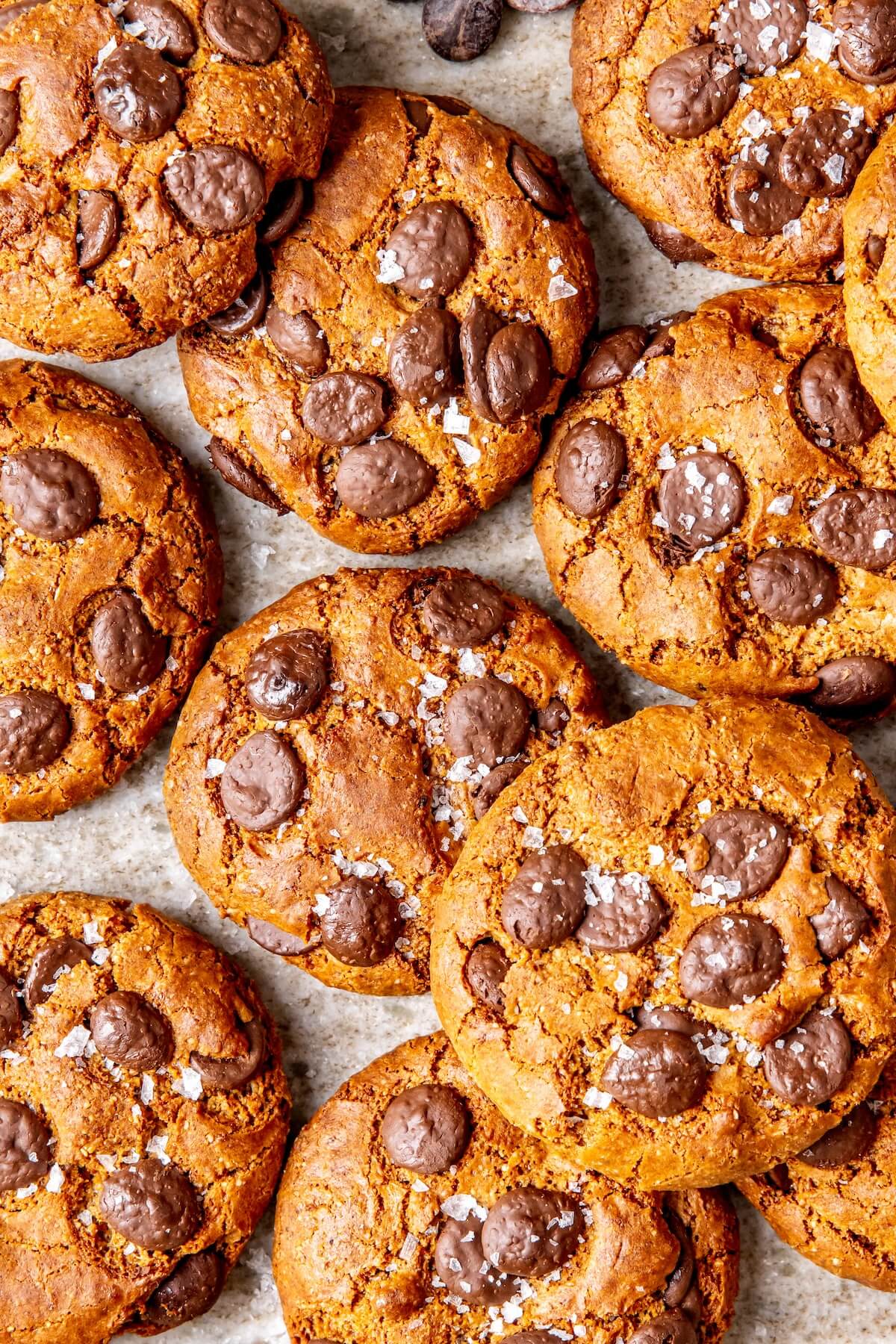 Pumpkin Spice Chocolate Chunk Cookies - Olivia Adriance