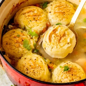 Turkey and Dumplings - Olivia Adriance