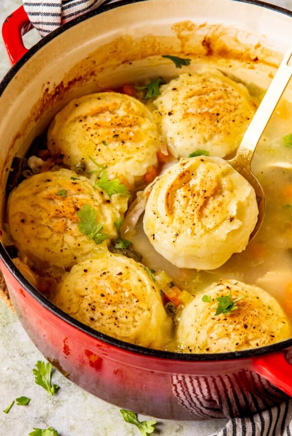 Turkey and Dumplings - Olivia Adriance