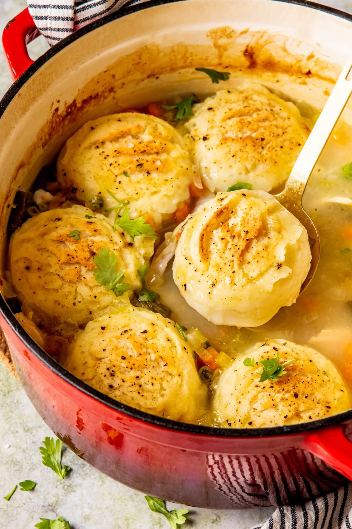 Turkey and Dumplings - Olivia Adriance