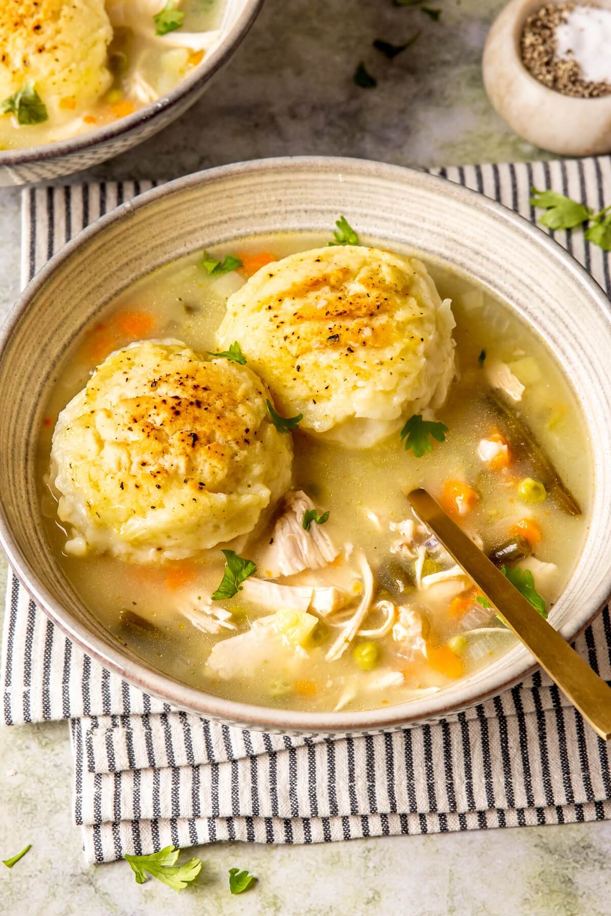 Turkey and Dumplings - Olivia Adriance