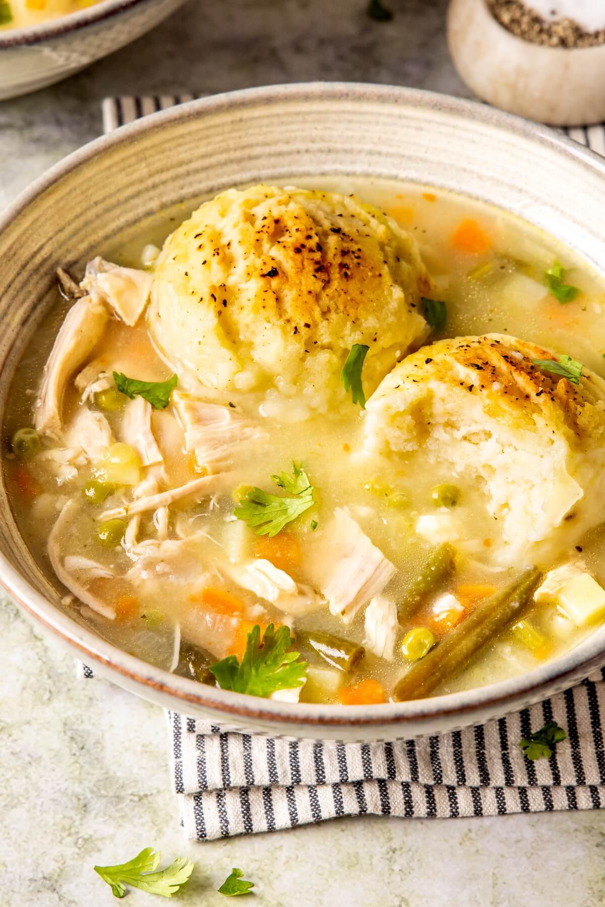 Turkey and Dumplings - Olivia Adriance