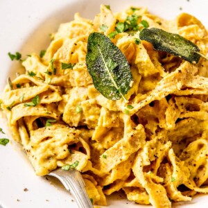 Vegan Dairy-Free Pumpkin Alfredo - Olivia Adriance