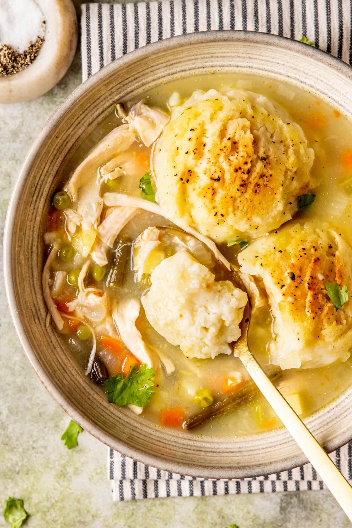 Turkey and Dumplings - Olivia Adriance