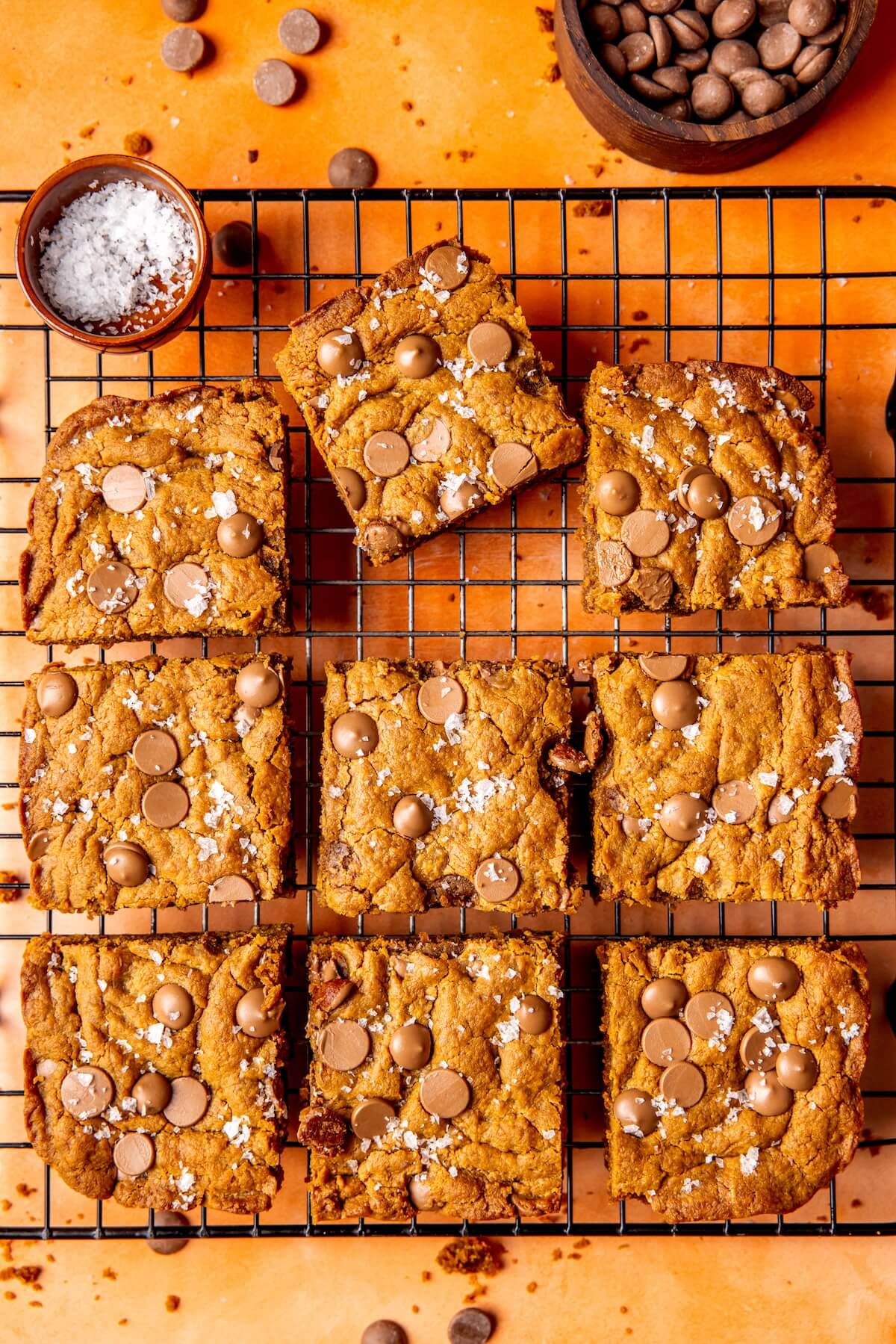 Chocolate Peanut Butter Blondies - Olivia Adriance