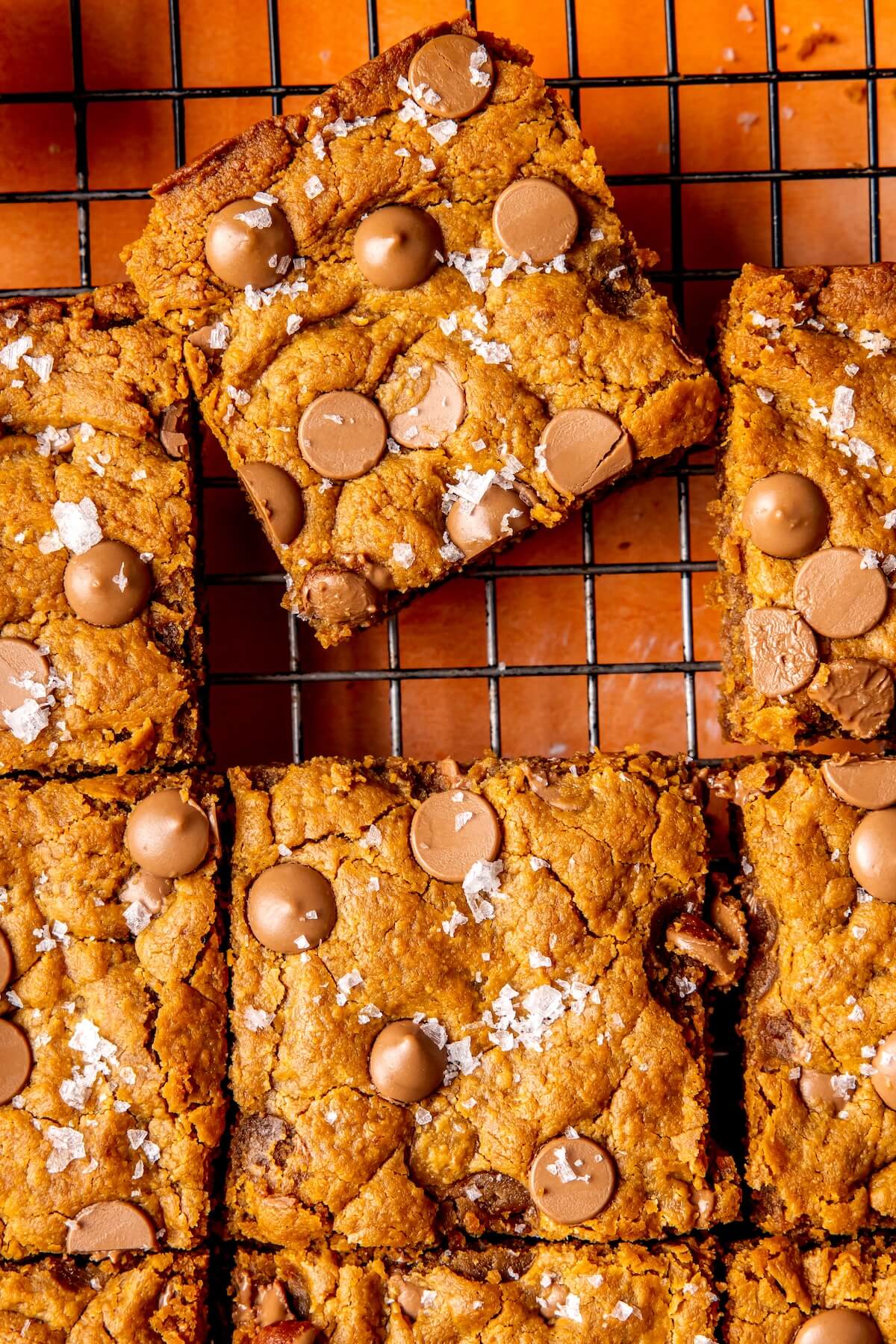 Chocolate Peanut Butter Blondies - Olivia Adriance