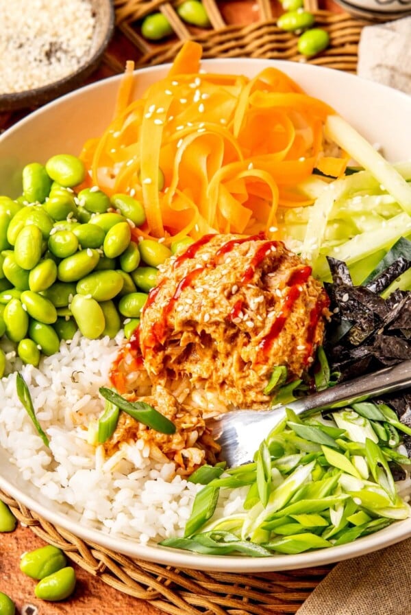 Spicy Tuna Bowls - Olivia Adriance