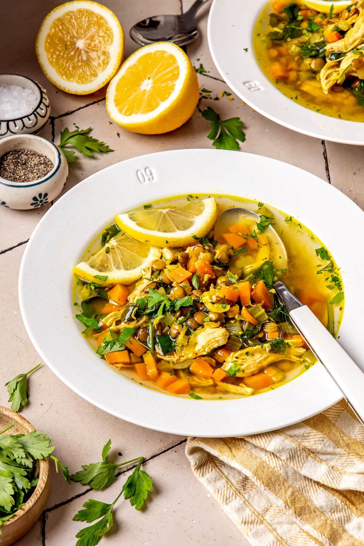 Chicken Lentil Stew - Olivia Adriance