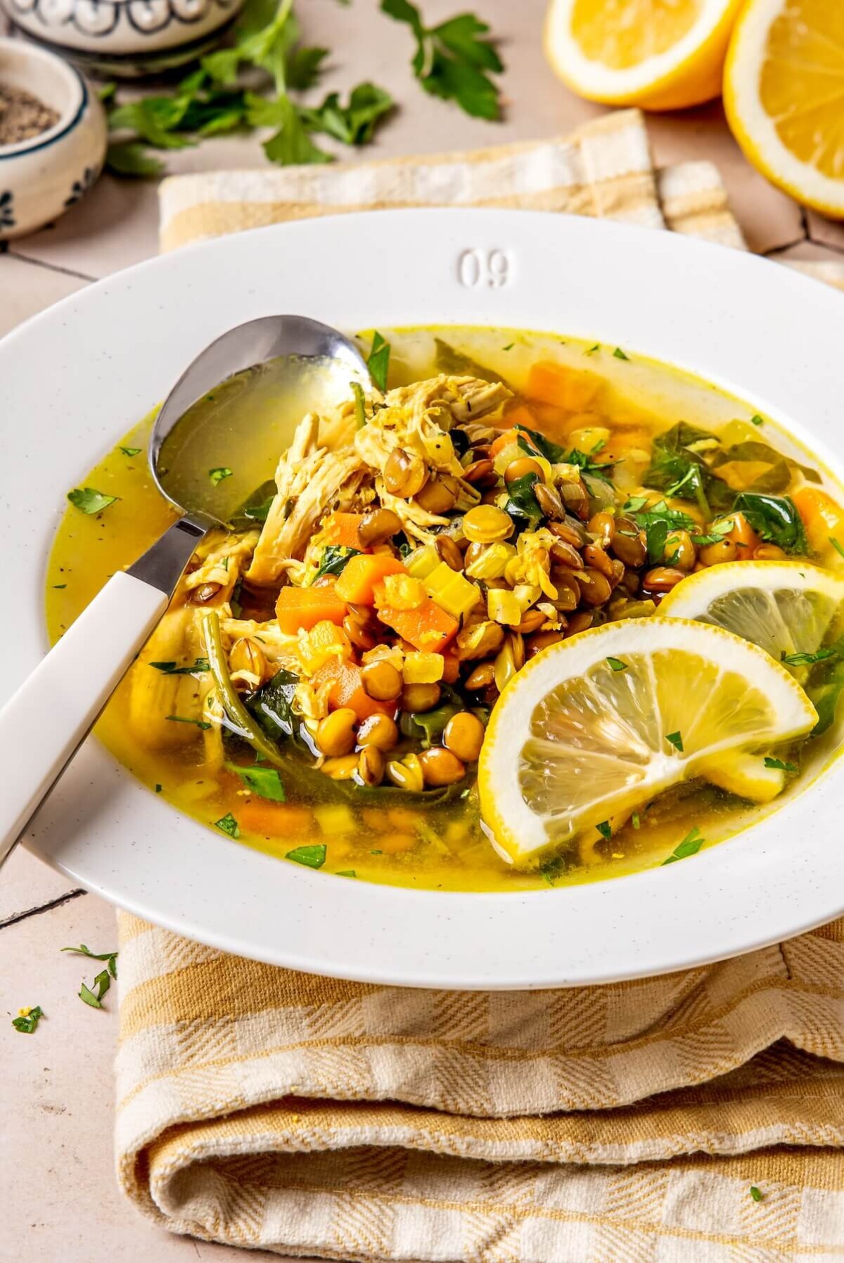 Chicken Lentil Stew - Olivia Adriance