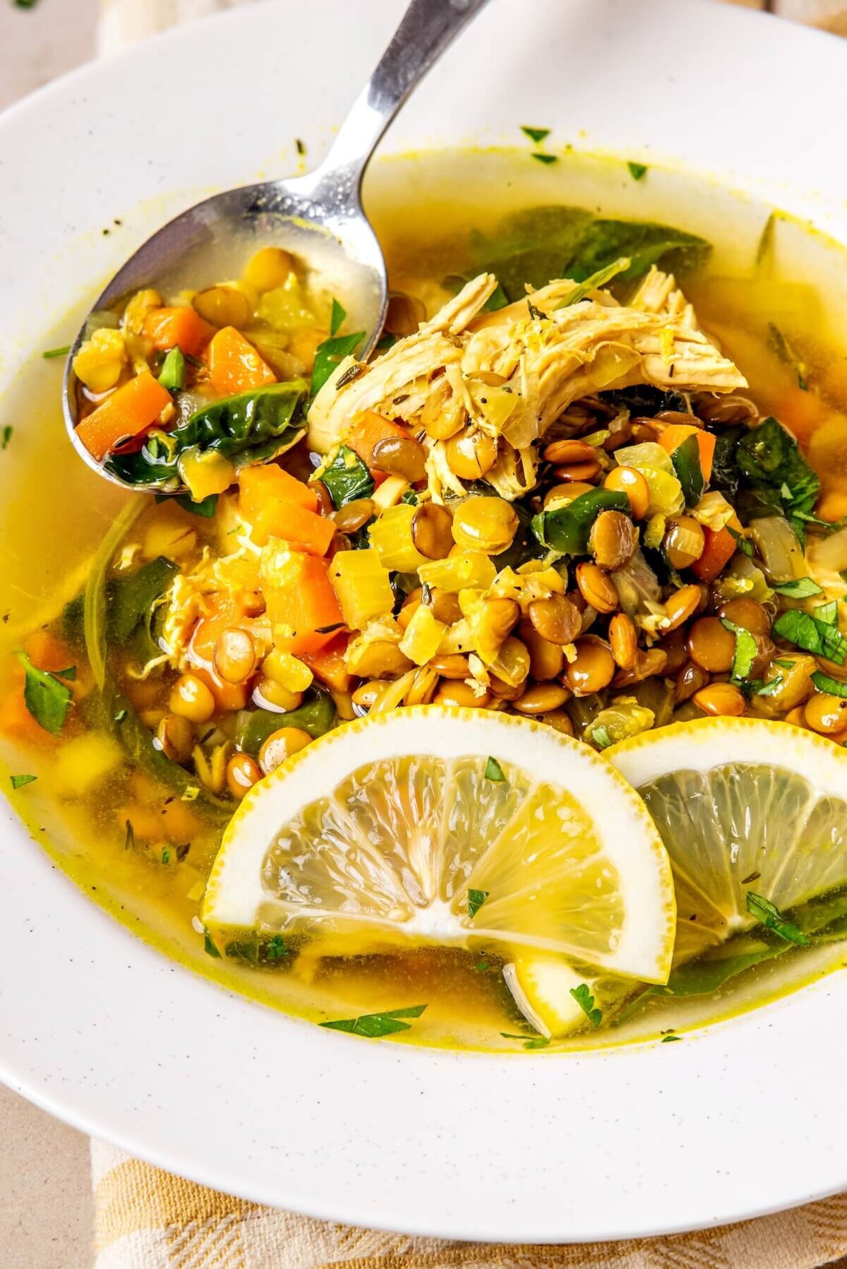 Chicken Lentil Stew - Olivia Adriance