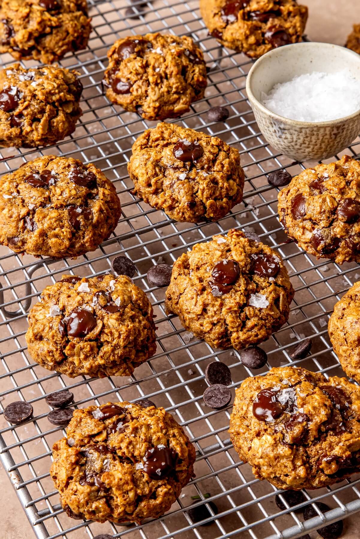 Dairy-Free Lactation Support Cookies