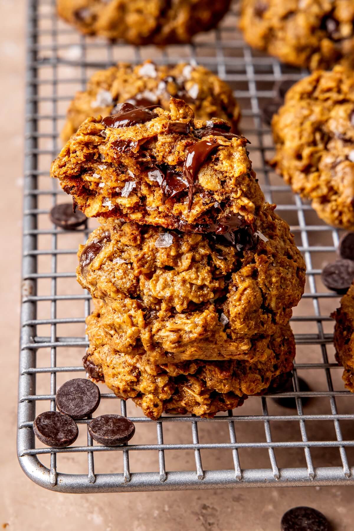 Dairy-Free Lactation Support Cookies