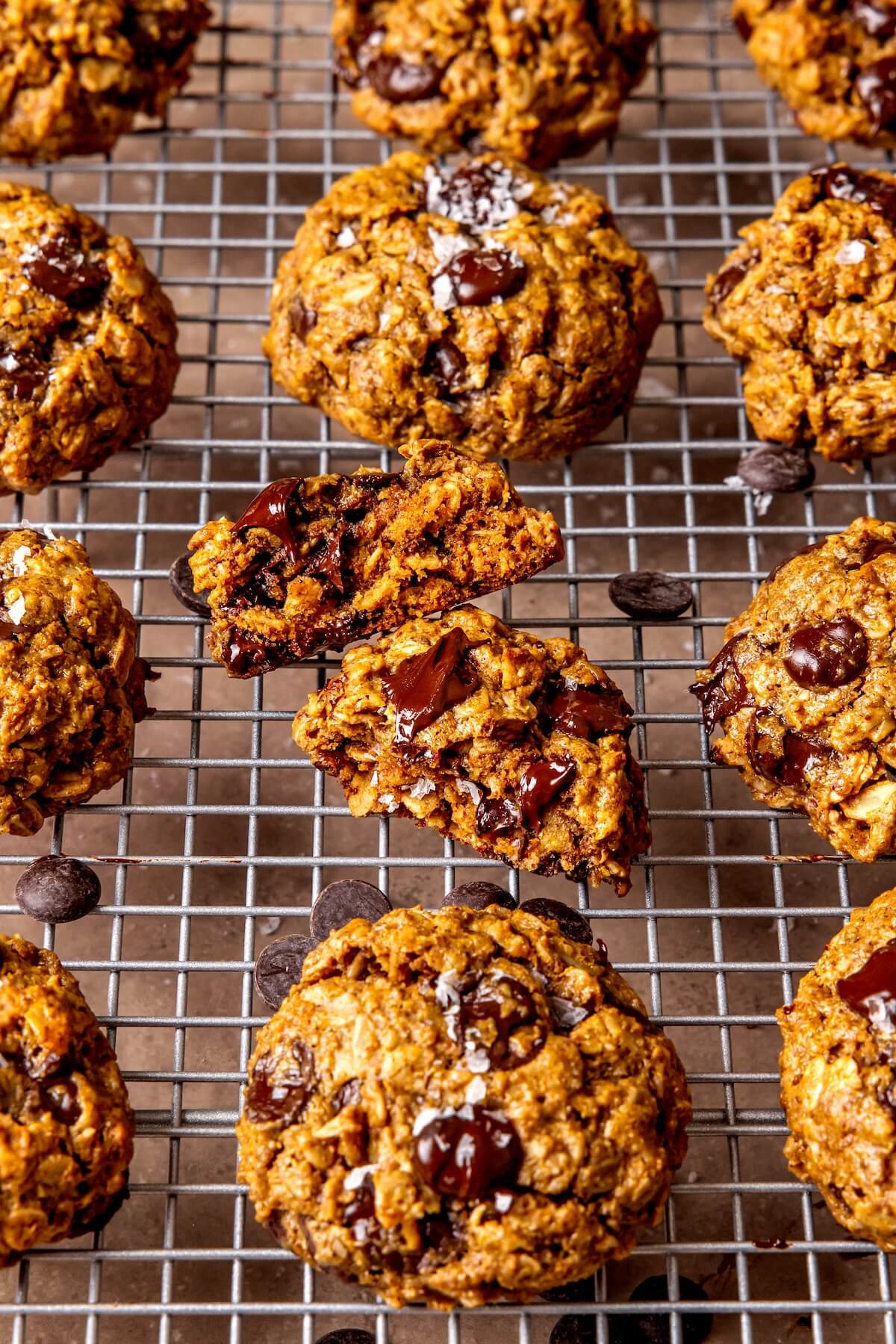 Dairy-Free Lactation Support Cookies