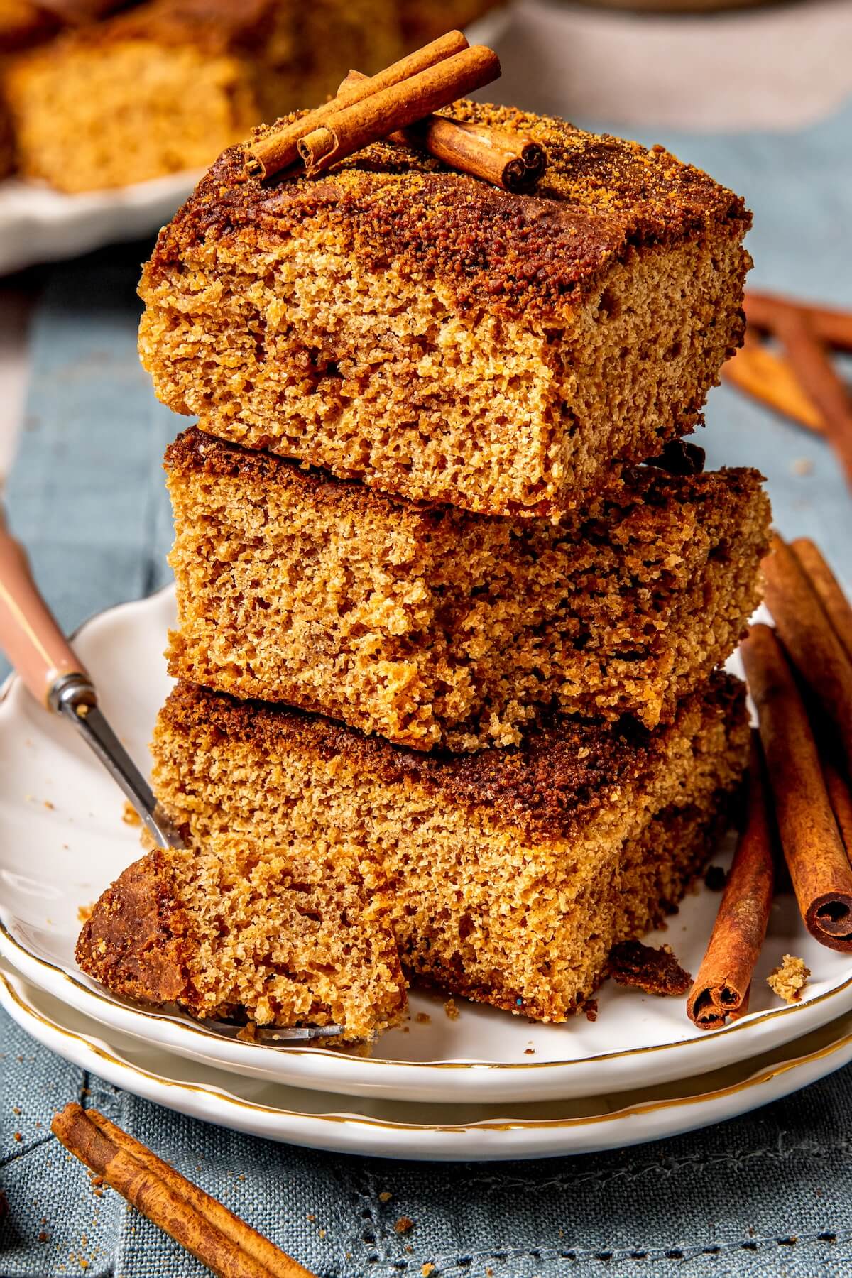 Snickerdoodle Blondies - Olivia Adriance