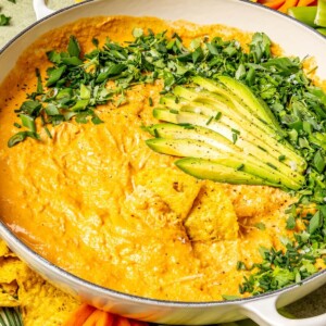 Dairy-Free Buffalo Chicken Dip - Olivia Adriance