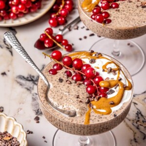 High Protein Chocolate Chia Pudding - Olivia Adriance