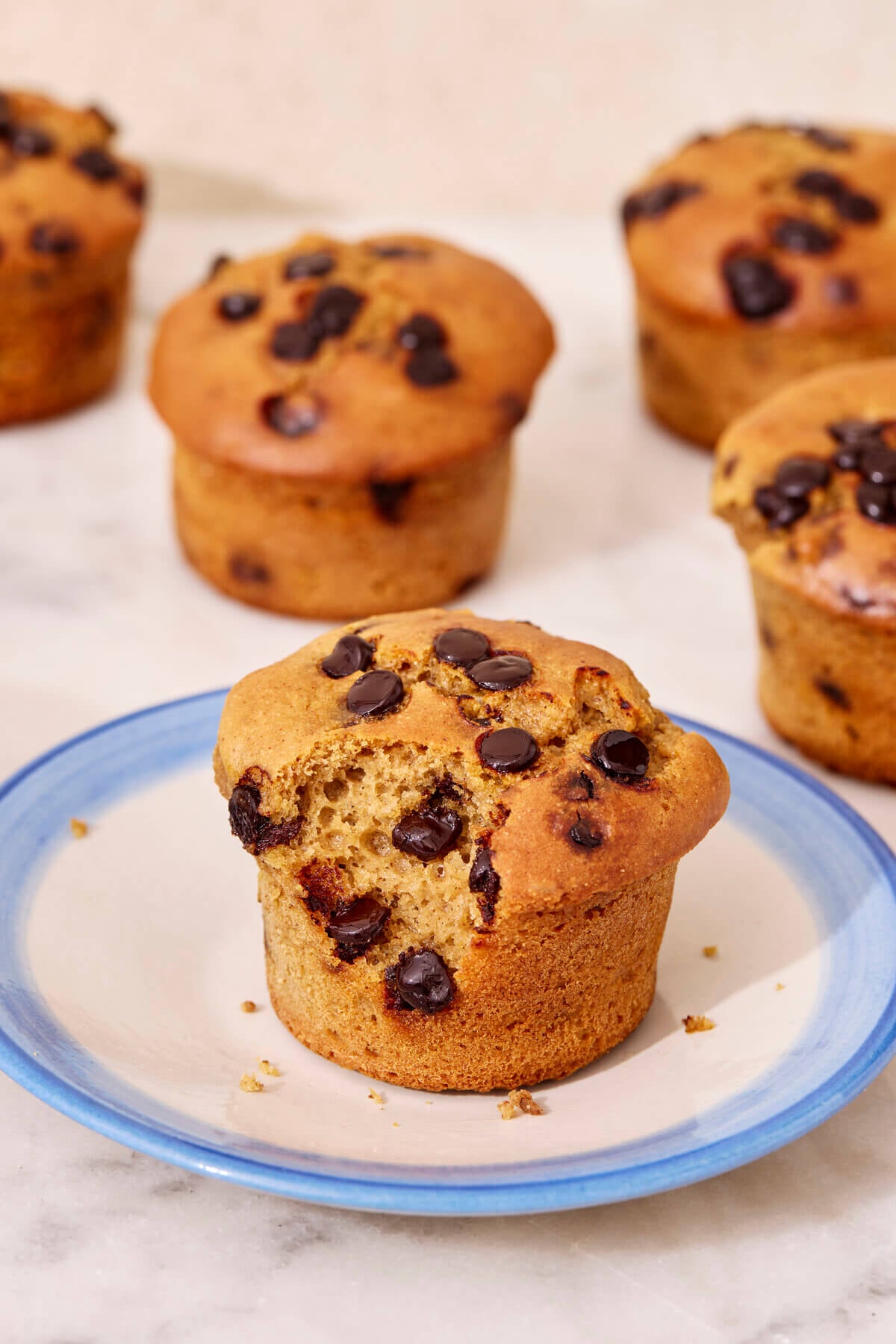 Chocolate Chip Protein Muffins - Olivia Adriance